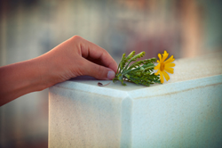 Coping with Grief